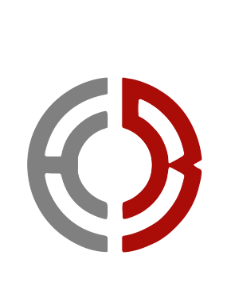 Texas Notary Logo